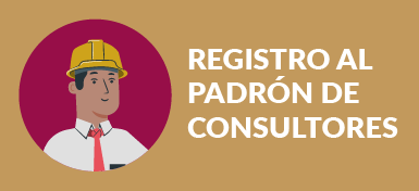 Consultores ambientales