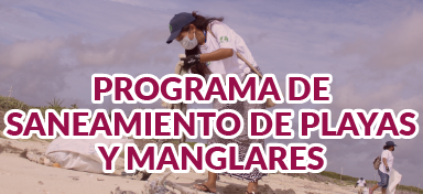 Sanamiento de Playas y Manglar