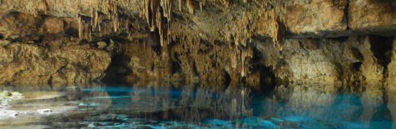 areas-naturales-protegidas