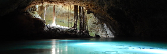 areas-naturales-protegidas