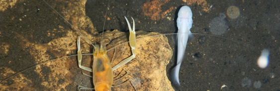 areas-naturales-protegidas