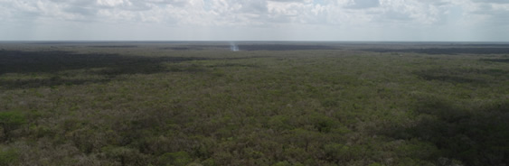 areas-naturales-protegidas