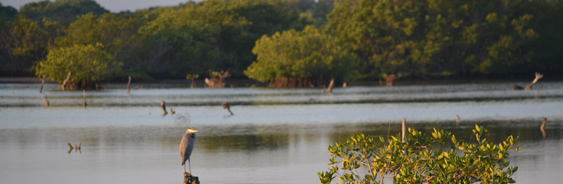 areas-naturales-protegidas