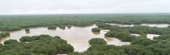 areas-naturales-protegidas