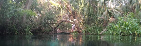 areas-naturales-protegidas