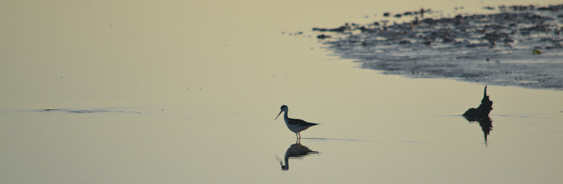 areas-naturales-protegidas