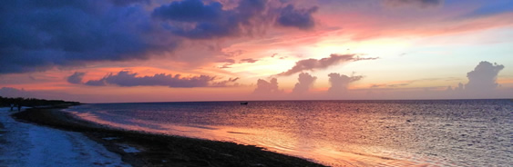 areas-naturales-protegidas