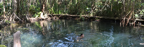 areas-naturales-protegidas