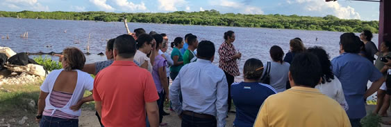 educacion para la sustentabilidad