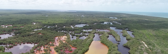 areas-naturales-protegidas