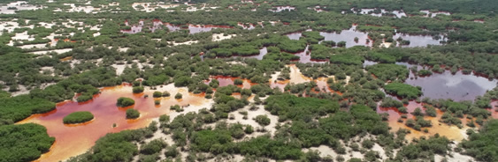 areas-naturales-protegidas