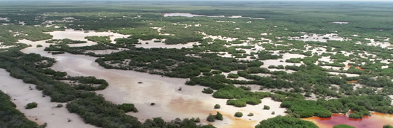 areas-naturales-protegidas