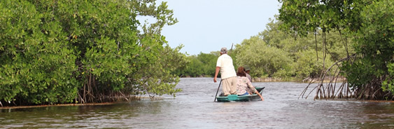 areas-naturales-protegidas